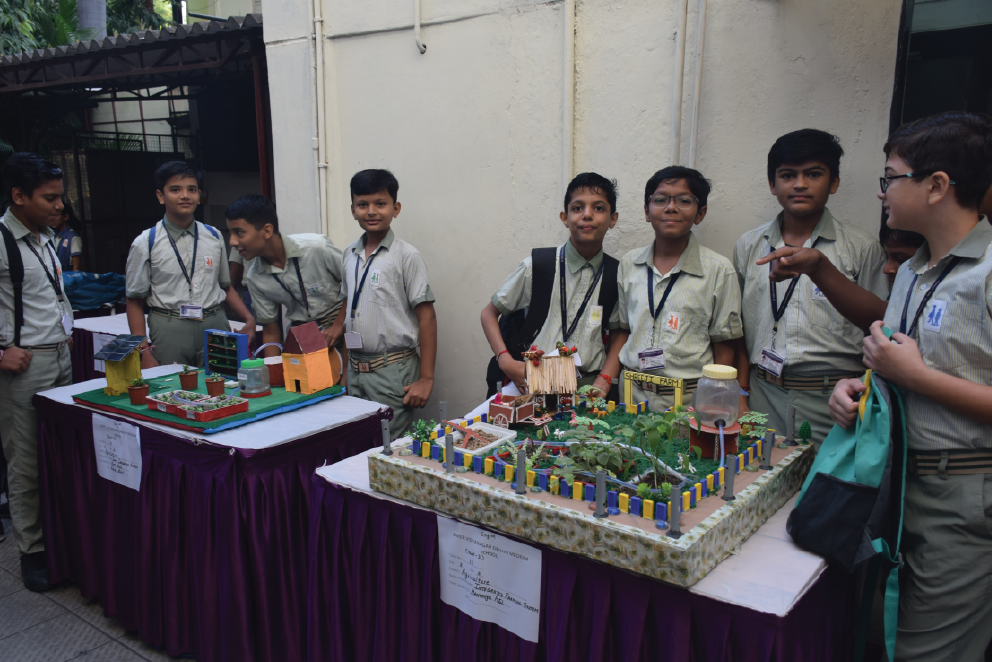 Secondary Education Board in Ahmedabad